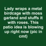 Even the picky eaters cleaned their plates without a word