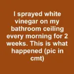 My grandma made a huge batch for Sunday dinner and we completely cleared the plate before the main course was even served. You only need 3 ingredients to make this.