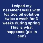 My cousin found a single nail placed neatly on their doorstep and got spooked. What does the nail mean?