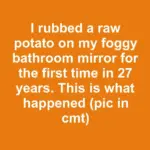 I put mayonnaise in my hair and wrapped it in plastic wrap for 12 days. This is what happened