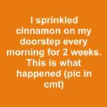 I put everything I own in boxes for 30 days and only took out what I needed. This is what happened