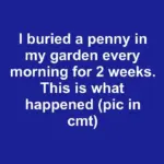 I wiped my basement walls with tea tree oil solution twice a week for 3 weeks during spring. This is what happened