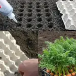 Turn Old Tires Into a Beautiful, Weed-Free Garden