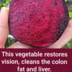 Planting Garlic with Egg Carton Trays (The Easy Spacing Grid Method)