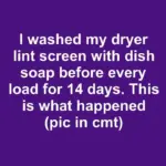 I dropped two denture cleaning tablets into my toilet tank every night for 14 days. This is what happened