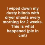 I soaked my rusty garden tools in Coca-Cola overnight. This is what happened
