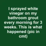 I ran my dishwasher with vinegar instead of rinse aid for a month. This is what happened