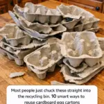 I added a dry bath towel to every wet load in my dryer for 14 days. This is what happened