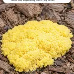 My grandpa taught me this trick to kill driveway weeds with 0 effort. Here’s how it works