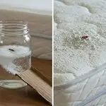 These are the consequences of sleeping with the… See more