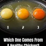 The Viral Riddle That is Driving the Internet Crazy: Can You Solve It?