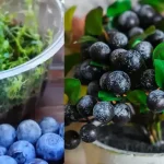 6 Healthy Juice Recipes for Glowing Skin, Gut Health, Immunity & More